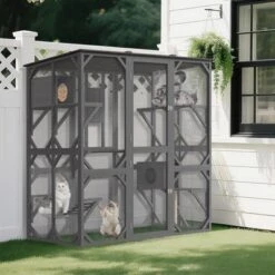 70'' Large Walk-in Catio Outdoor Cat Enclosure With Window, 4 Jumping Platforms & 2 Resting Box -The Range Shop GUEST 100b552a cb5a 4830 93ef 1012b9ea8f64