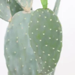 42" Artificial Cactus Plant – Realistic Large Potted Cactus, Low Maintenance, Indoor Outdoor Decorative Greenery For Home, Office, Garden 11 42" Artificial Cactus Plant – Realistic Large Potted Cactus, Low Maintenance, Indoor Outdoor Decorative Greenery For Home, Office, Garden -The Range Shop GUEST 16d98243 be0e 4ca9 b16d fdfdd3c1d5e7