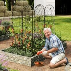 Garden Trellis 75x20 Inch, Decorative Metal Trellis For Climbing Plants Outdoor, Rustproof Garden Fence Plant Support Frame For Patio & Yard -The Range Shop GUEST 9d46e93e e00f 47a4 b160 769f96c106f0