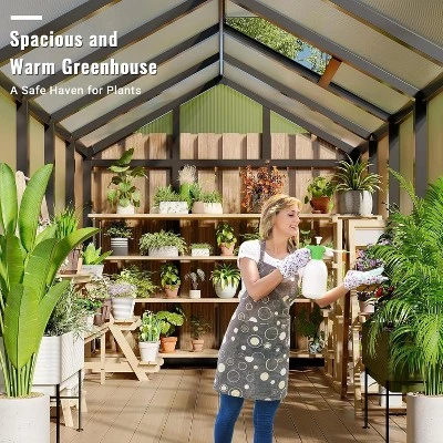 6x10x6.5 FT Greenhouses For Outdoors, Aluminum Green House With Polycarbonate Roof, Sliding Door, Adjustable Vent For Garden, Backyard, Patio, Black 2 6x10x6.5 FT Greenhouses For Outdoors, Aluminum Green House With Polycarbonate Roof, Sliding Door, Adjustable Vent For Garden, Backyard, Patio, Black - Image 2